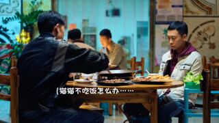 “李队，猫怎么养啊？”