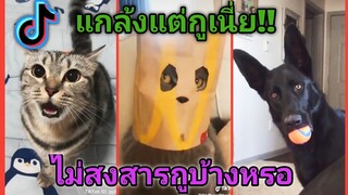 รวมคลิปสัตว์ฮาๆเด็ดๆ(ในแอปTikTok #22)​[แกล้งแต่กูเนี่ย!!ไม่สงสารกูบ้างหรอ]