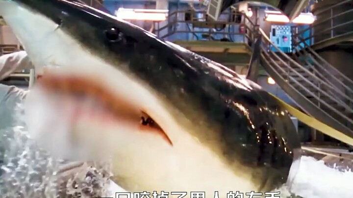 Phim hành động kinh điển đáng xem