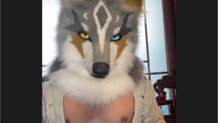 Rolling with the mighty bear and wolf