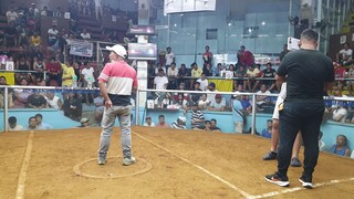 ngayon lang ulit nakapag sabong 1W 1L
