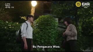 Kang Tae Oh and Park Eun Bin Extraordinary Attorney Woo