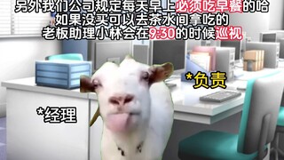 When a new employee joins the company... they realize our workplace is a bizarre set of rules—those 