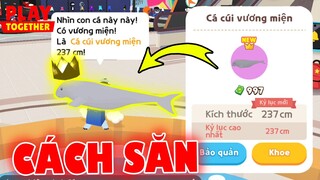 Đã Tìm Ra Cách Săn "Cá Cúi Vương Miện" Thành Công 100% | Play Together