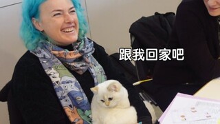 又把裁判迷晕了:他是完美的小猫