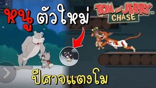 tom and jerry chase asia | หนูตัวใหม่ ปีศาจแตงโม !!