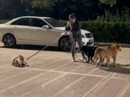 Perlakukan dengan Adil