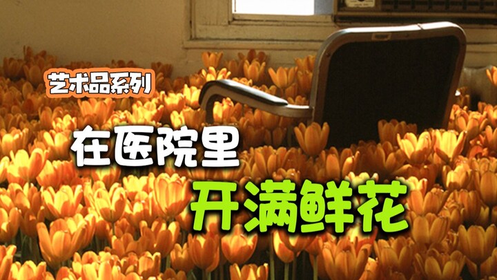 ทุ่งดอกไม้กลางโรงพยาบาล นี่คือมู้ดดรีมคอร์เข้ามาสู่โลกแห่งความเป็นจริงแล้วหรือ?