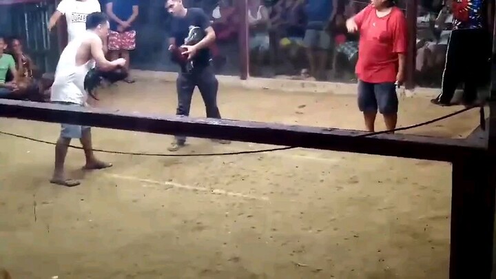 Warrior 2x winner.. Rip