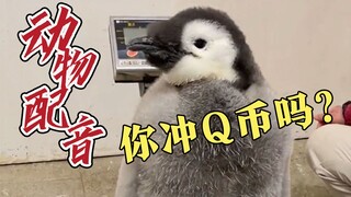 王 牌 销 售 员 👑