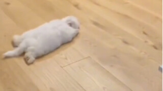 “อยู่ดีๆ ก็พังซะแล้ว?!”