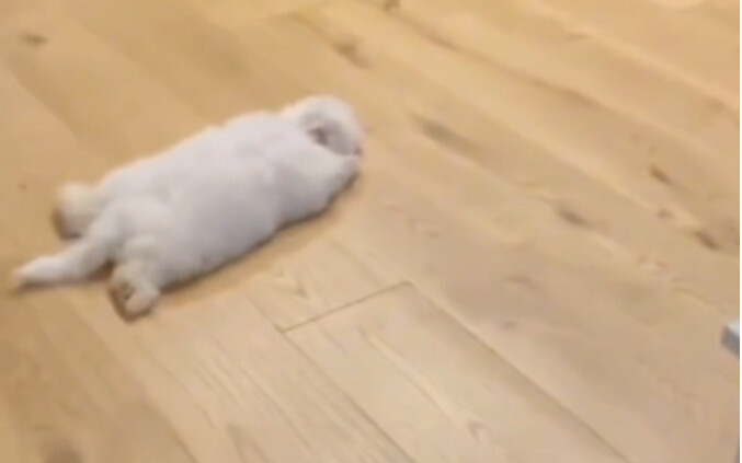 “อยู่ดีๆ ก็พังซะแล้ว?!”