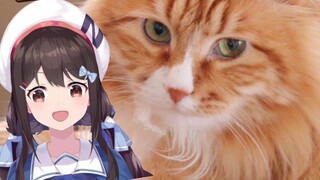 The anchor of the Dandan, Lion Maru