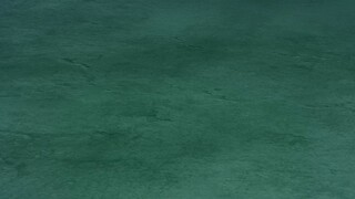 pokemon vietsud 2025 t 111