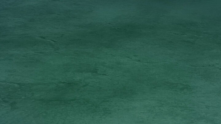 pokemon vietsud 2025 t 111