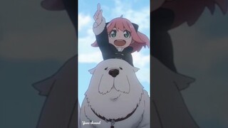 Anya Forger dan Bond Forger cutee                    | yana channel