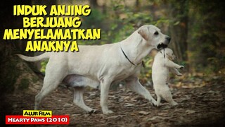 Mengharukan !! Rela Berkorban Apapun Demi Menyelamatkan Anaknya | Alur Cerita Film