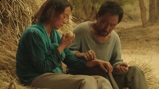 海清主演的电影《隐入尘烟》 票房已经突破3000万，这个成绩实属不易。