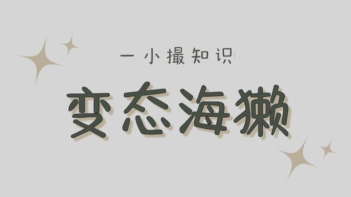 Sea slugs may look cute and goofy, but they’re actually pretty twisted!