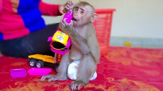 Playful Girl!! Little Yaya is happy playing with the kid toys