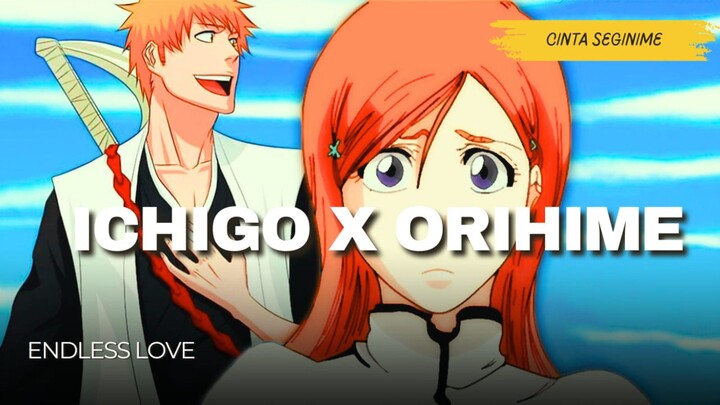 Kenapa Ichigo Memilih Orihime, Rukia jadi Istri Ke 2