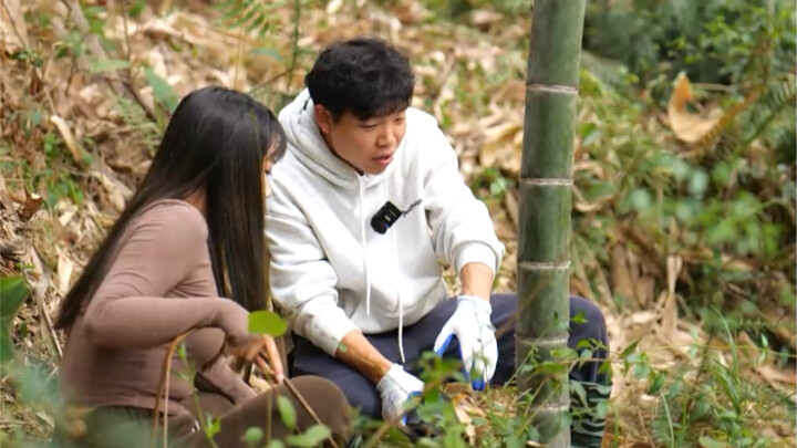 The wild vegetables in the mountains are ripe—let’s pick some bracken and cook it with cured pork.