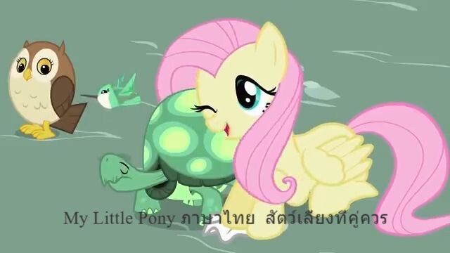 My Little Pony ภาษาไทย 🦄 สัตว์เลี้ยงที่คู่ควร _ การ์ตูนสำหรับเด็ก