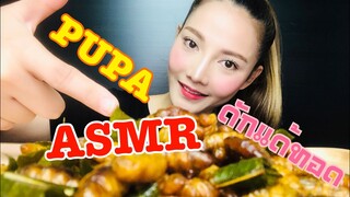 SAW ASMR|MUKBANG|เสียงกิน|PUPA|ดักแด้ทอด|번데기•EATING SOUND•