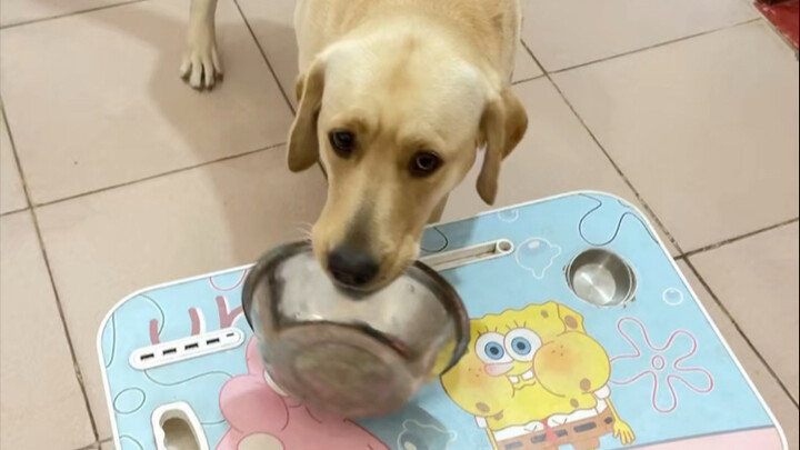 Hôm nay ăn đệm giường