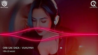 ORB SAK SNEA - VUHUYNH REMIX  || NHẠC HOA TẨM ĐÁ HOT TIK TOK 2022