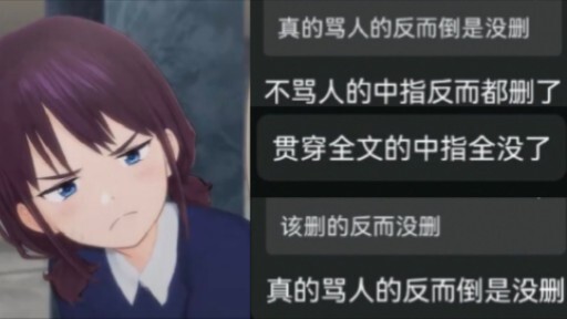 群友们对官方版GBC的看法