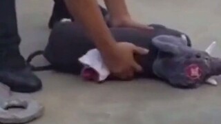 Your chin is covered in beard—what else could you be but an old man?