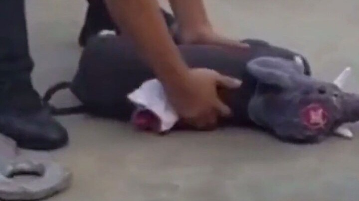 คางเต็มไปด้วยหนวด ถ้าไม่ใช่คนแก่แล้วจะเป็นอะไรล่ะ