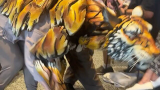 Harimau ini sangat ganas sehingga tidak ada yang berani mendekatinya.