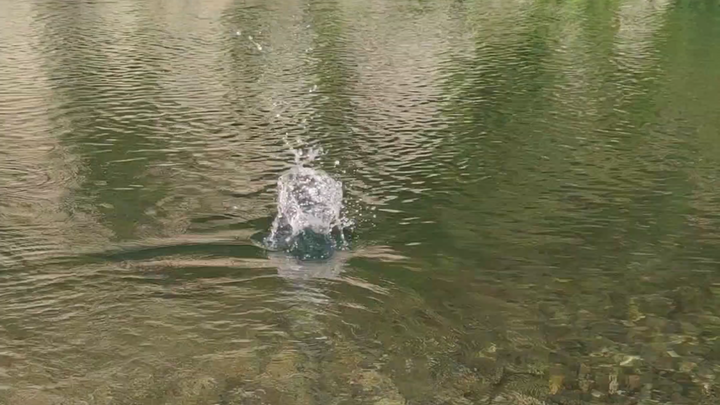 Kết cục của Nhũ Nguyệt Đường chính là như vậy!