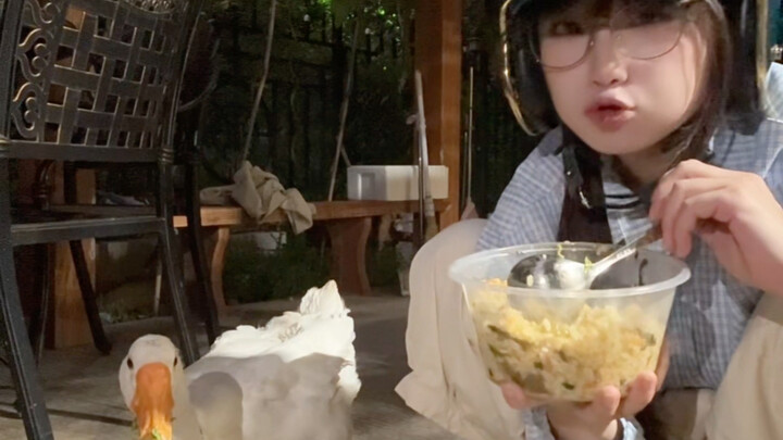 ห่าน: บอกแม่ของข้าด้วยว่าข้าไม่ใช่คนขี้ขลาด!