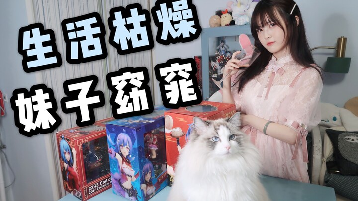 【Jia Yidan】Tidak punya tenaga kerja tapi punya kucing, ulasan sederhana dan bersahaja tentang festiv