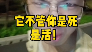 Kabar gembira! Kepala sekolah kami dipenjara! Dia menggelapkan uang sebanyak delapan digit...