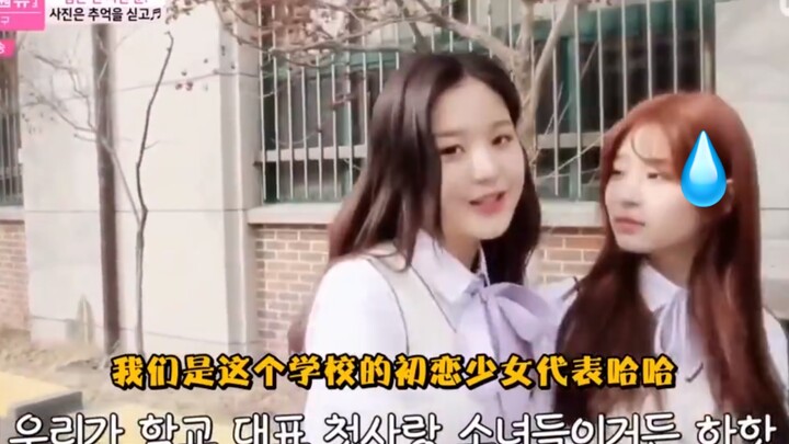 [Zhang Yuanying] A Collection of Zhang Yuanying’s Mysterious Behaviors