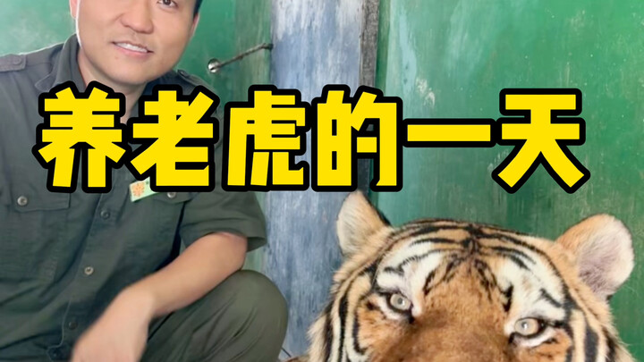 又是收获满满的一天！