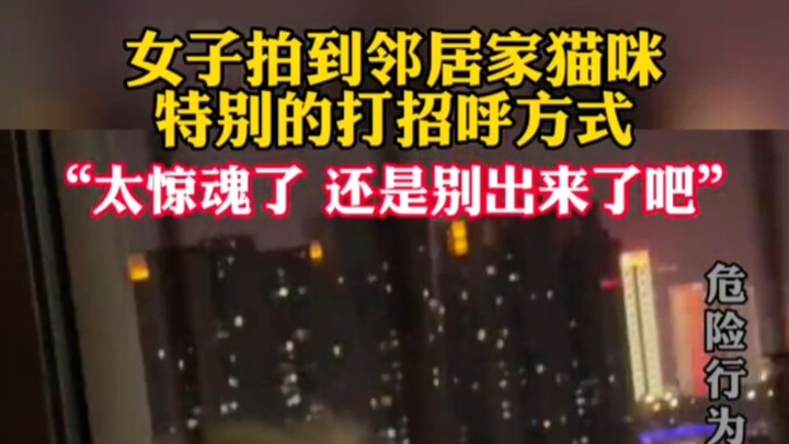 امرأة تلتقط طريقة تحية فريدة لقطة الجيران.. ما أشد رعبها!