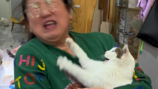 拳打敬老院，脚踢幼儿园