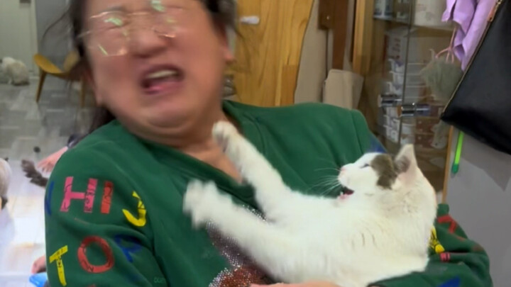 ต่อยสถานสงเคราะห์คนชรา เตะโรงเรียนอนุบาล