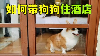 【แนวทางฉบับครบถ้วนสุดๆ】สอนคุณพาน้องหมาเข้าพักโรงแรม! พร้อมแนบรายชื่อโรงแรมที่เป็นมิตรกับสัตว์เลี้ยง