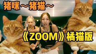 Jessi - 《ZOOM》but orange cat version