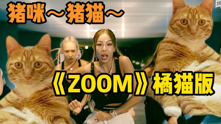เจสซี่ - 《ZOOM》แต่เวอร์ชั่นแมวสีส้ม