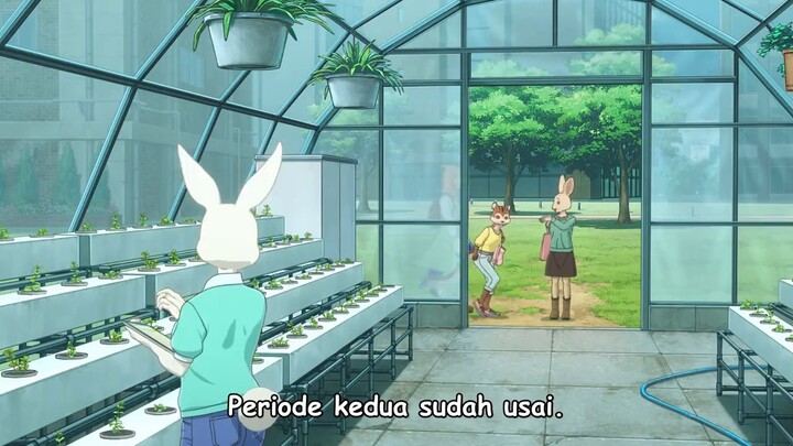 Beastars Final Season Part 2 Episode 1 Sub Indo