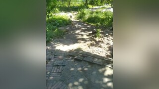 Trưa mà chơi ác thế...yeucho yeuchomeo cún cúncon chó chómèo chócon chó_cưng chókhôn yeuchomeo cưng chócute pet dog dogsoftiktok doggo