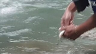 fishing in Nepal | cast net fishing in Nepal | himalayan trout fishing |