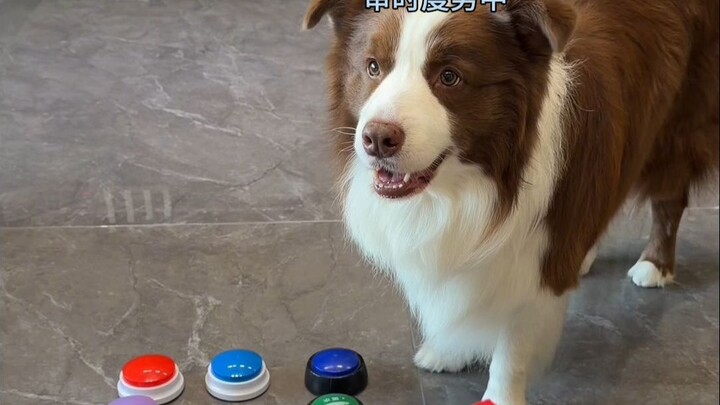 หยูจาย: ขอเรียกฉันว่าผู้ปล้นอั่งเปาเลย!